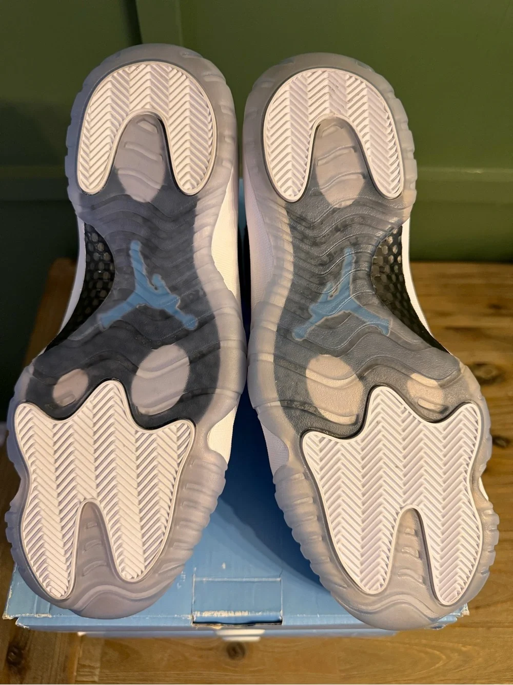 Air Jordan Pantone - 11s only